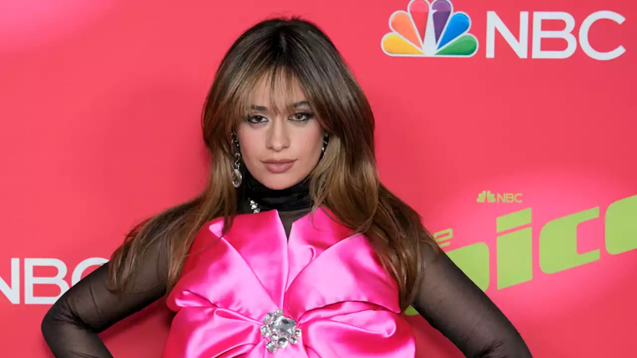 Camila Cabello Just Chopped Her Hair into a Trendy Wolf Cut