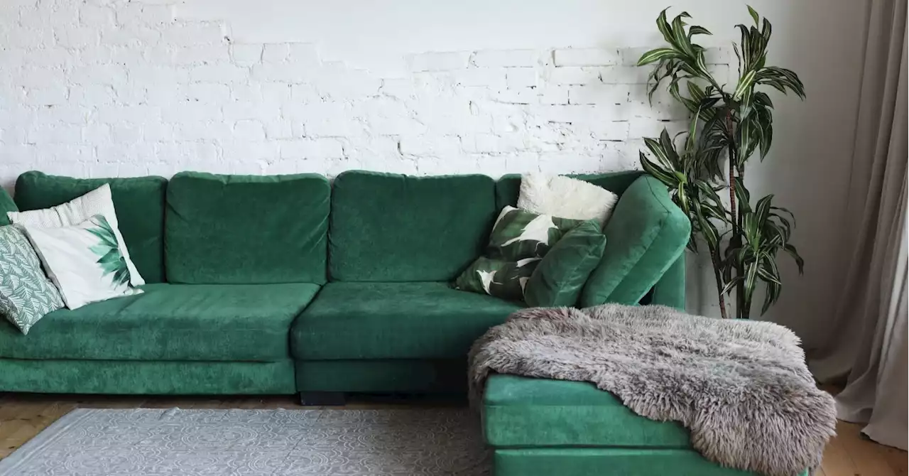 How to style a green velvet sofa, according to an interiors expert