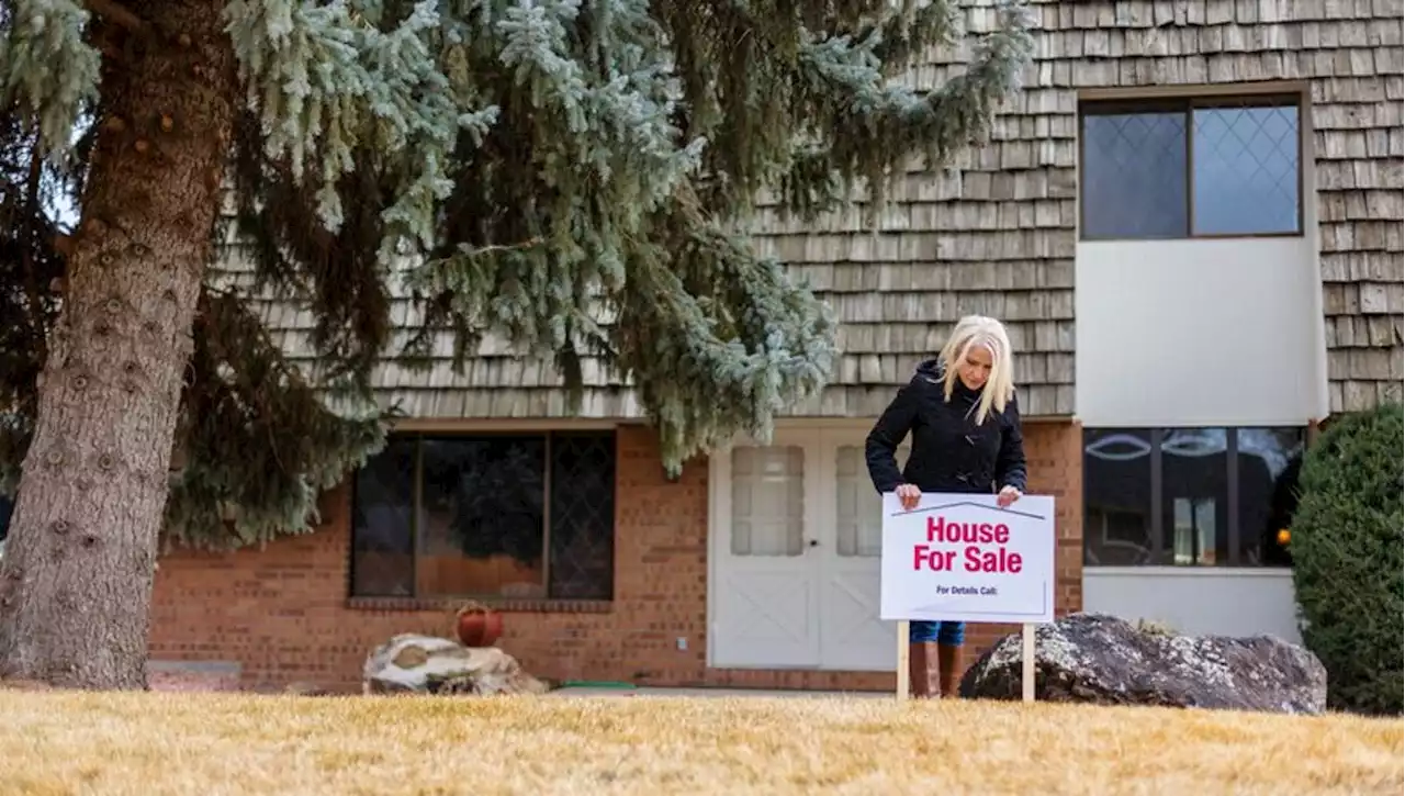 Housing market has 'further to fall' as buyers walk away and sellers scramble for profit