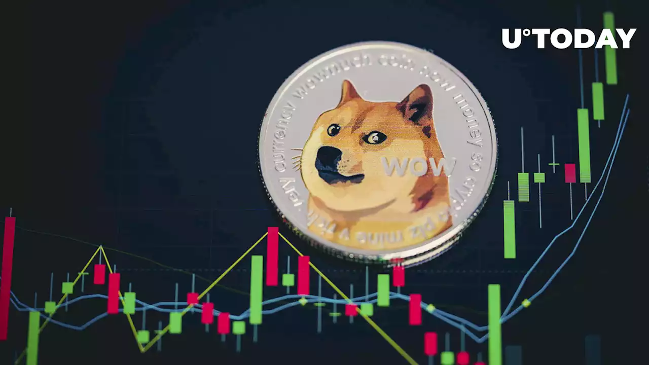 Dogecoin Solidifies Its Profitability as Rate Reaches 63%