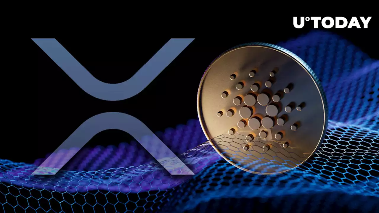 XRP, Cardano: Long-term Opportunities Are Back, Crypto Influencer Predicts