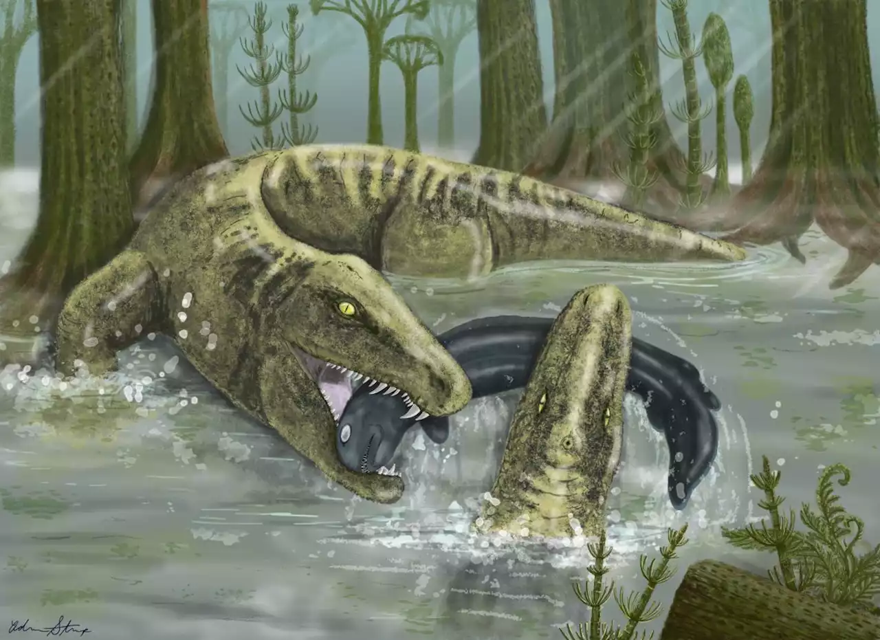 This crocodile-like predator roamed Iowa's waters more than 300 million years ago