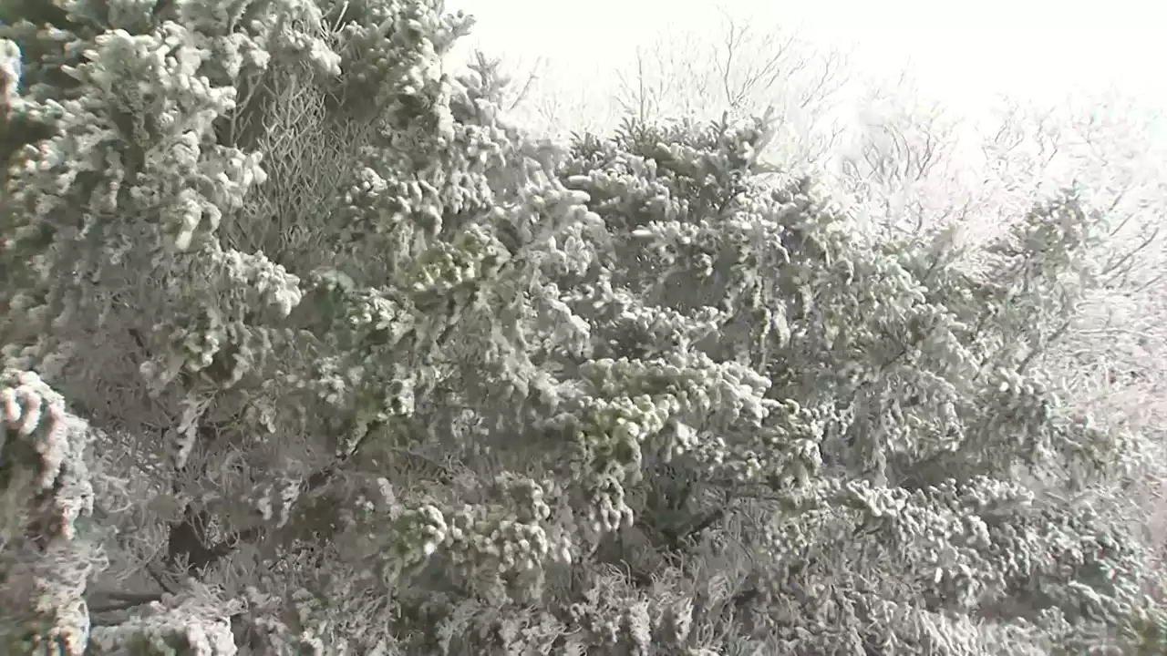 [날씨] 한파 절정, 서울 체감 -13℃...서해안·제주 산간 눈