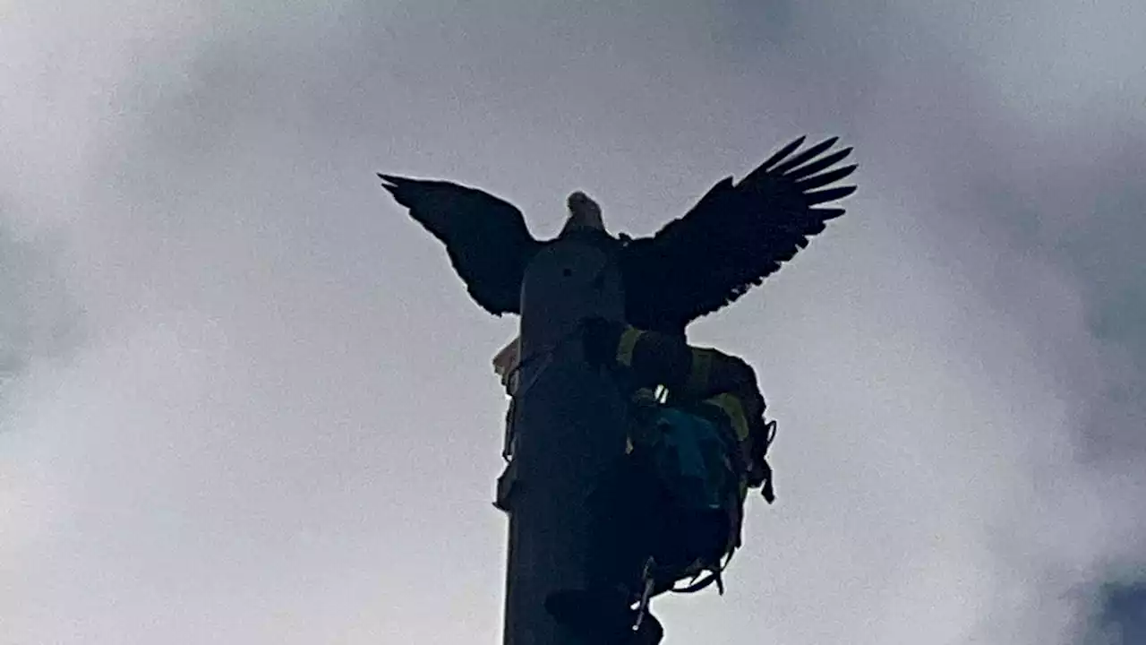 Eagle impaled on tip of 120 ft. radio tower rescued by MacClenny Fire and Rescue Department