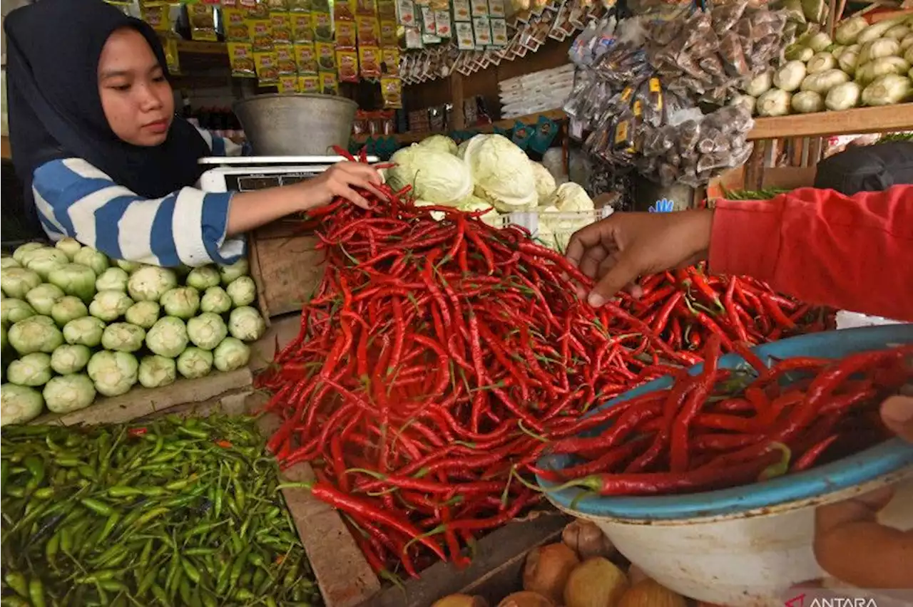 NFA jaga stabilisasi pasokan dan harga pangan