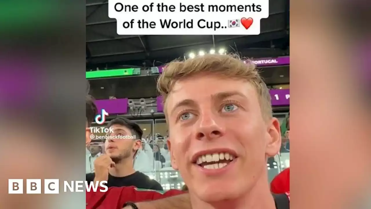 World Cup 2022: TikTok brings football fever to millions of fans