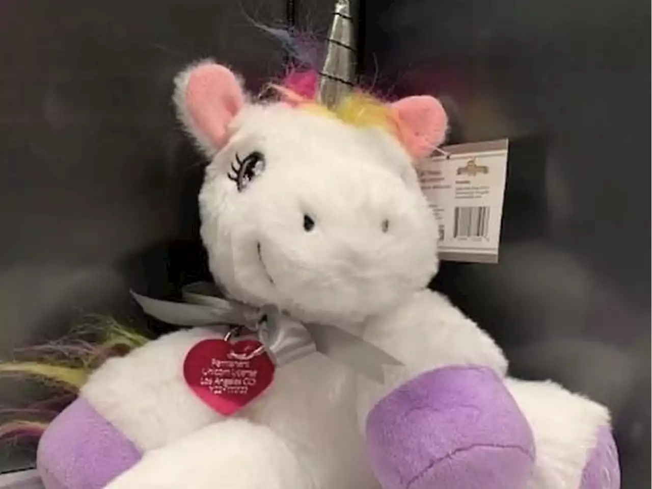 A US county gave a girl a 'unicorn license' – if she provides it with glitter and rainbows | Business Insider