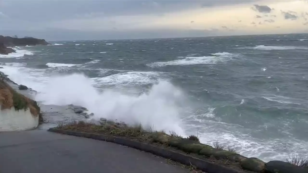 Wind, rain, snowfall warnings in effect for parts of Vancouver Island