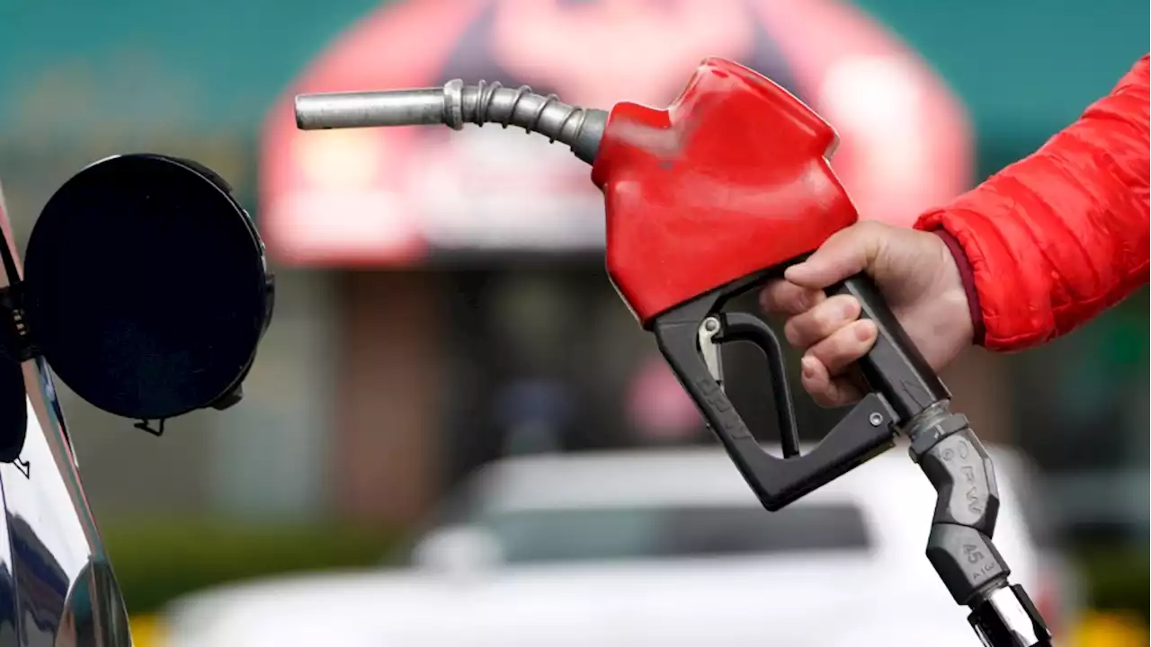 Markets in 'panic mode' as gas prices fall: expert