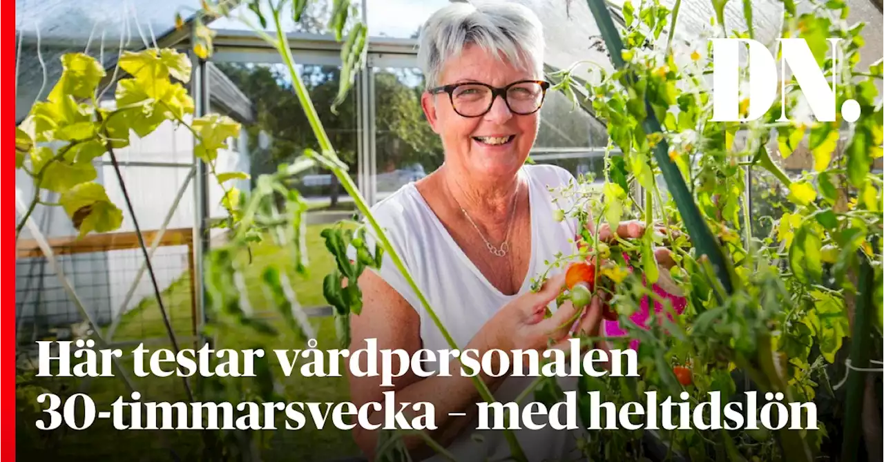 Här testar vårdpersonalen 30-timmarsvecka – med heltidslön