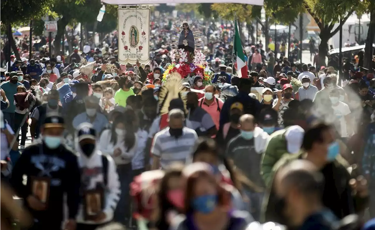 Virgen de Guadalupe. ¿Qué hacer si los comerciantes te cobrán de más en tu visita a la Basílica?