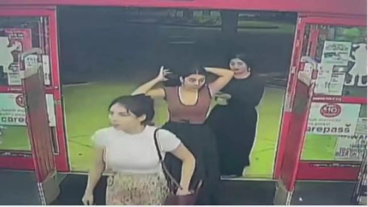 Women seen on surveillance video stealing thousands of dollars of merchandise