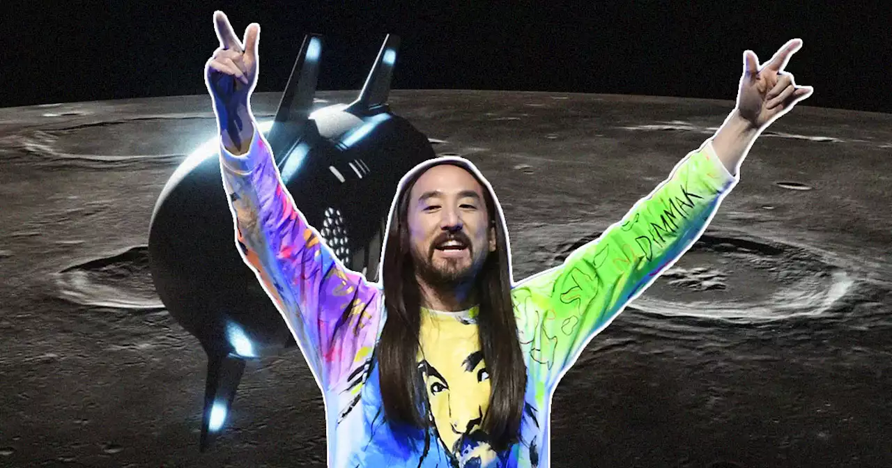Billionaire Paying for Steve Aoki to Join Him on SpaceX Moon Vacation