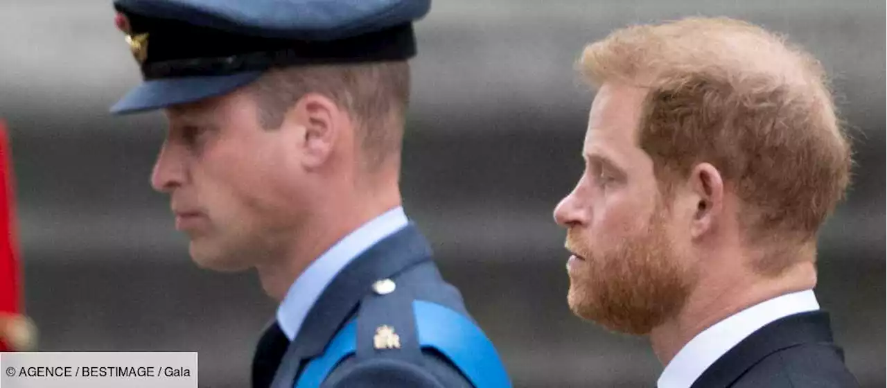 Le prince Harry : cette tendre lettre envoyée par William dévoilée - Gala