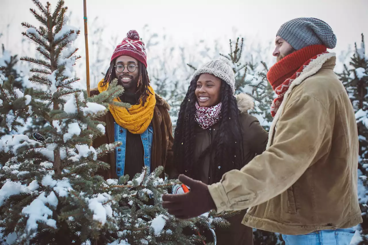 6 Things Christmas Tree Sellers Need You To Know