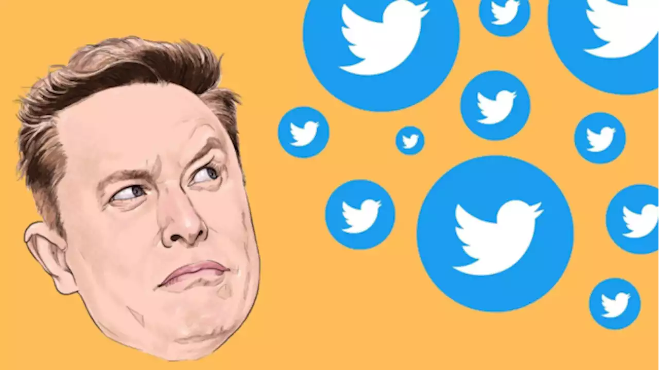 Elon Musk Announces Twitter Will Release 1.5 Billion Inactive Usernames