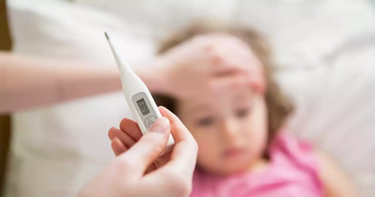 Hints of much worse to come as Strep A and RSV hit children and flu cases start to rise