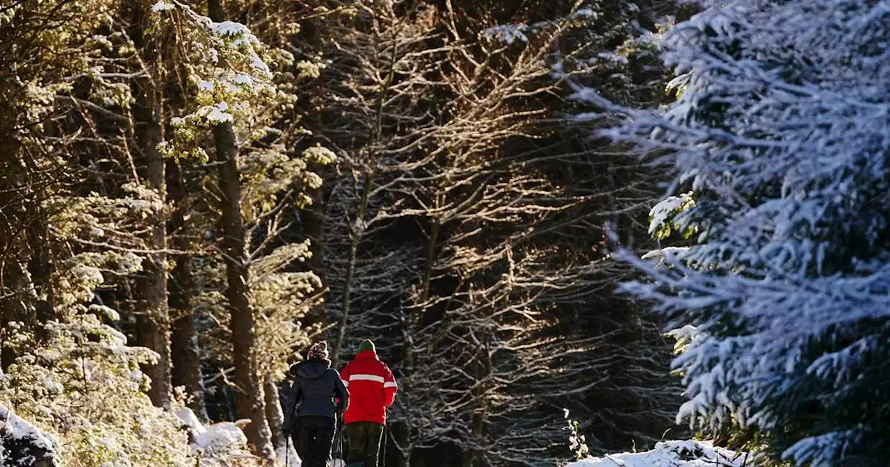 Snow and ice warnings issued for Ireland as 50 Dublin Airport flights are cancelled