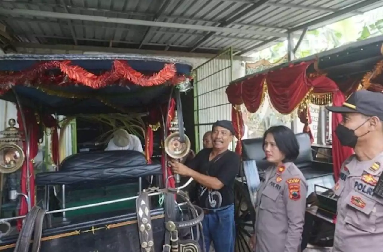 Kuda-kuda Penarik Kirab Kereta Kaesang dari Klaten Diberi Jamu Khusus