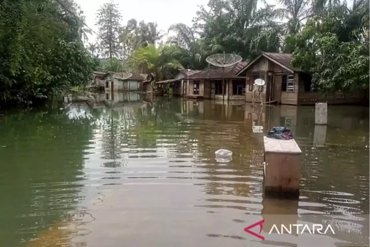 Kejadian di Tapsel, Puluhan Rumah Sudah Sebulan Direndam Banjir