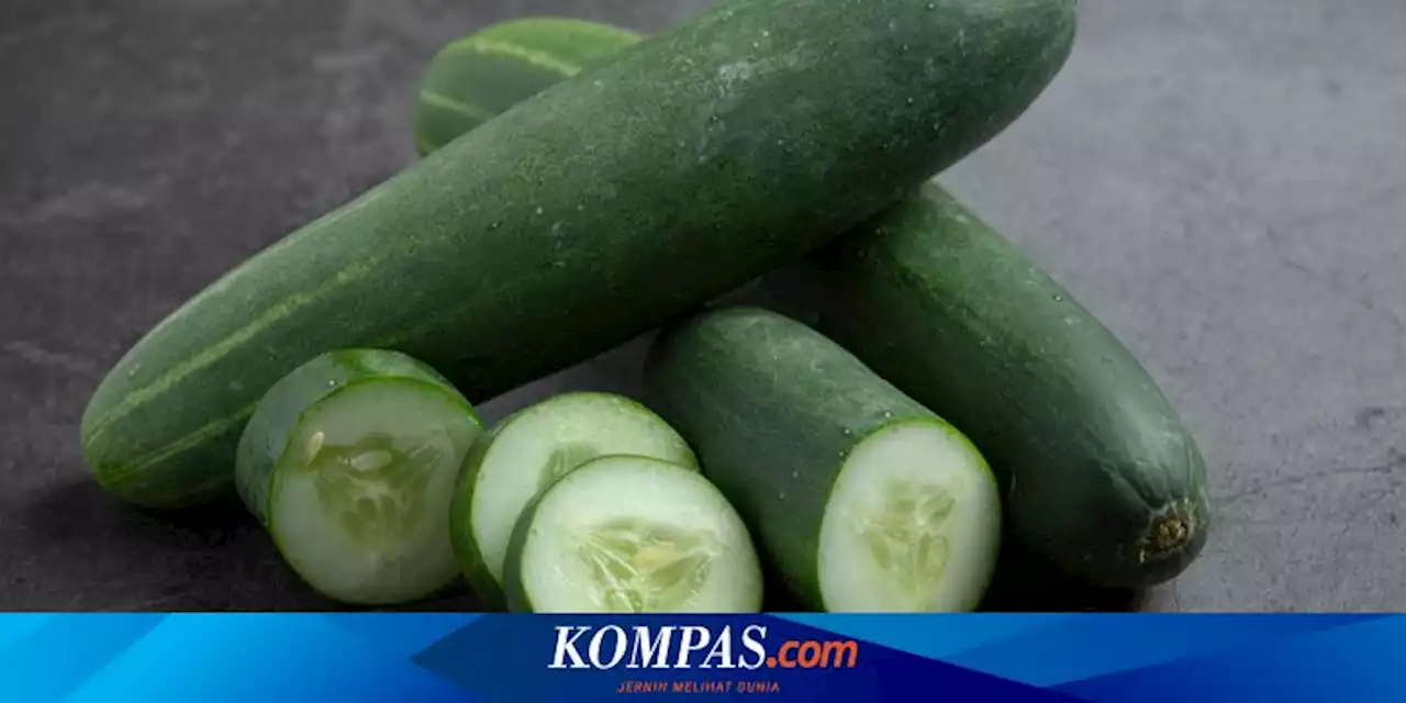 Kabar Bahagia, Mentimun Punya Banyak Manfaat untuk Pasien Diabetes