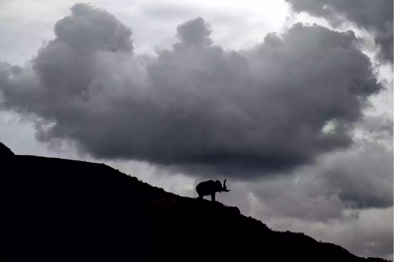 Rain, winds to wallop parts of Southern California