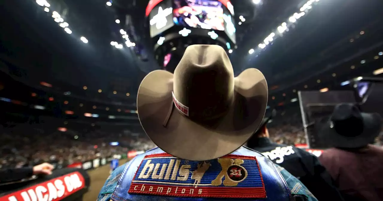 LA To Consider Ban On Rodeo 'Tools Of Torment' As Soon As January