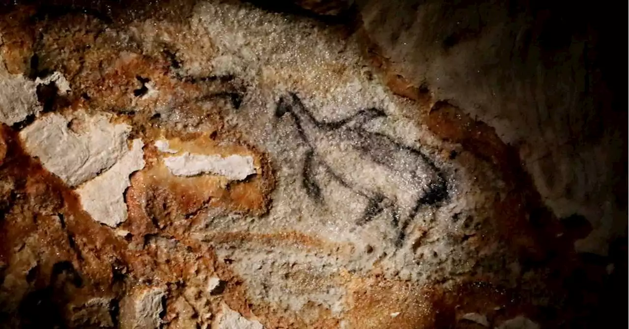 Marseille : un dîner préhistorique dans la grotte Cosquer