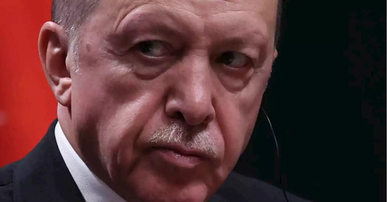 Turquie : Erdogan suggère qu'il briguera un dernier mandat en 2023