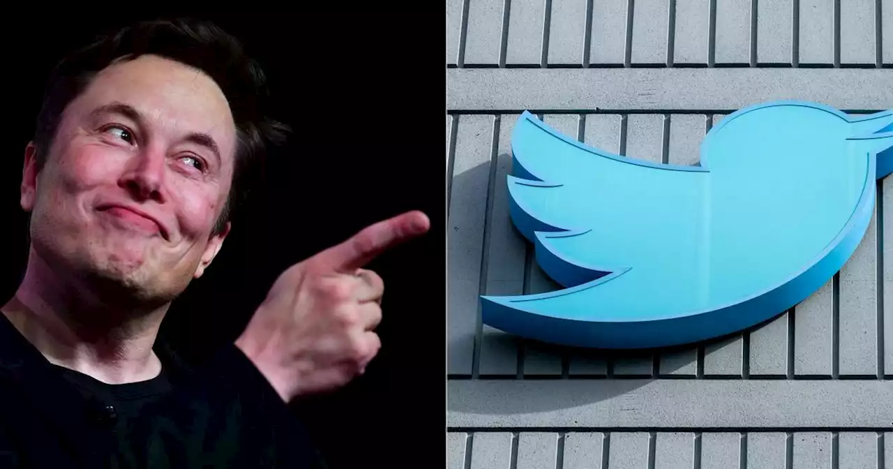 Elon Musk va supprimer 1,5 milliard de comptes Twitter inactifs