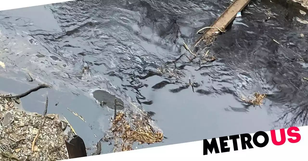 Largest US oil spill in 9 years dumps at least 14,000 barrels of into river