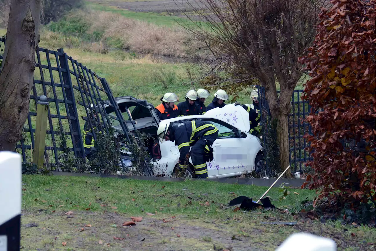 Hamburg: Autofahrerin stürzt vom Deich in die Tiefe