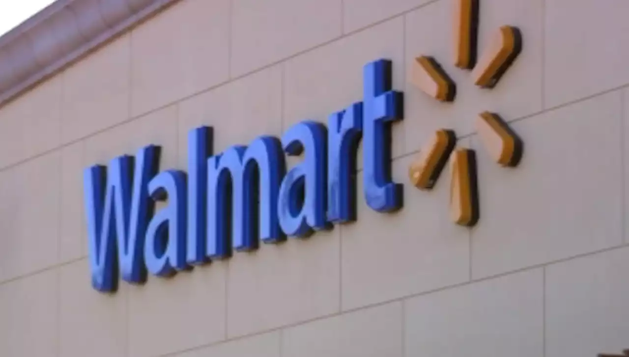 Walmart Theft Busted After NY Women Use Child to Steal Thousands in Merchandise: Police