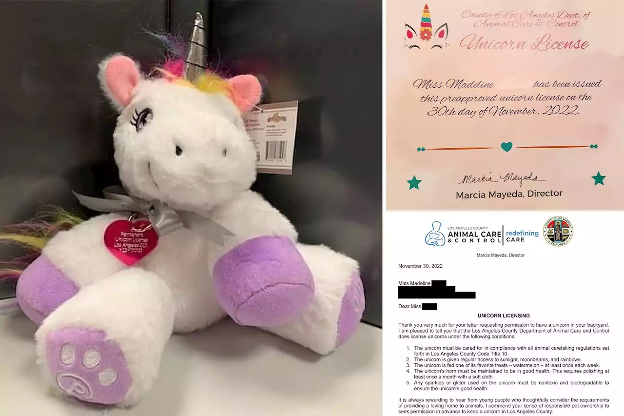 La-la land: California girl named Madeline gets first-ever license to own a unicorn