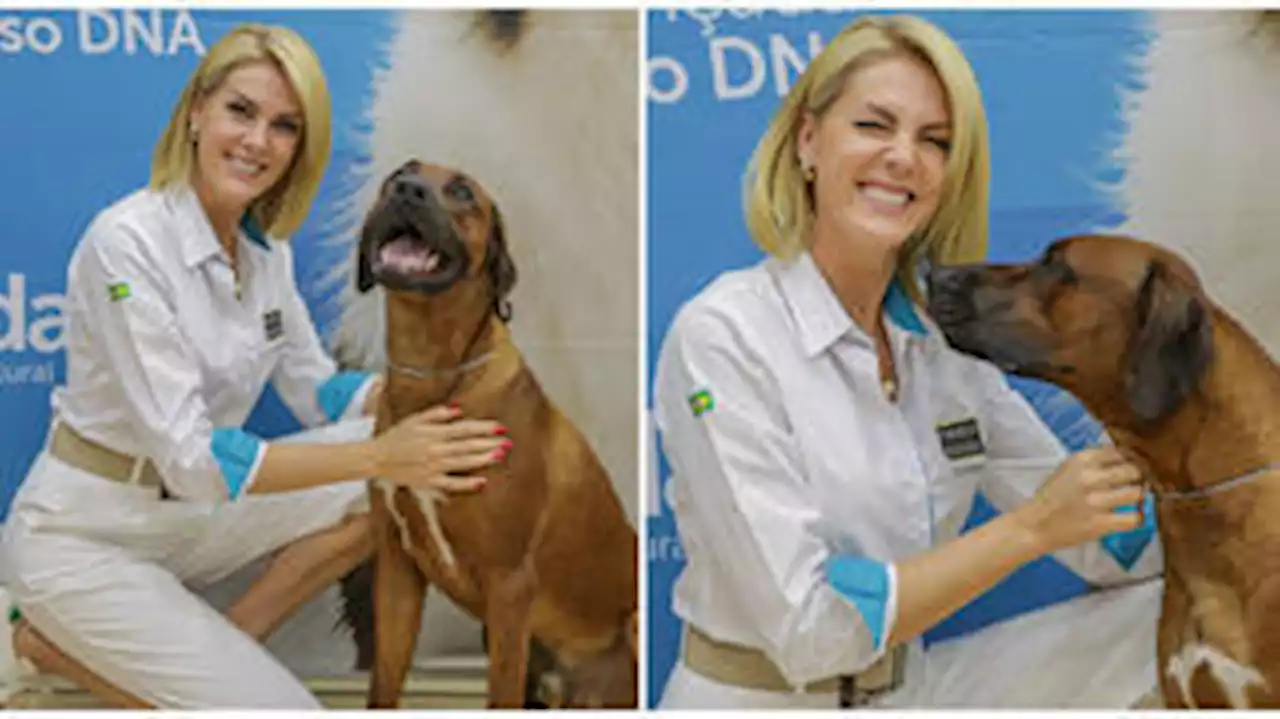 Cachorro de Ana Hickmann vence prêmio em competição canina