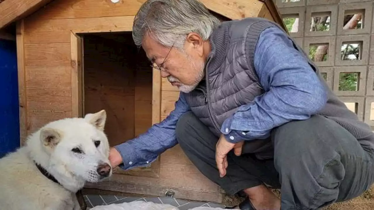 '그만하면 잘 산 견생'… 반려견 '마루' 사망소식 전한 文