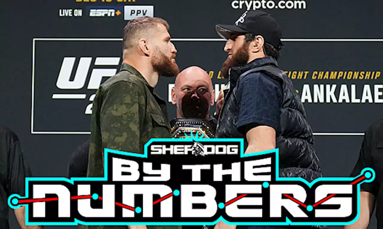 By The Numbers: UFC 282 Pre-Fight Edition