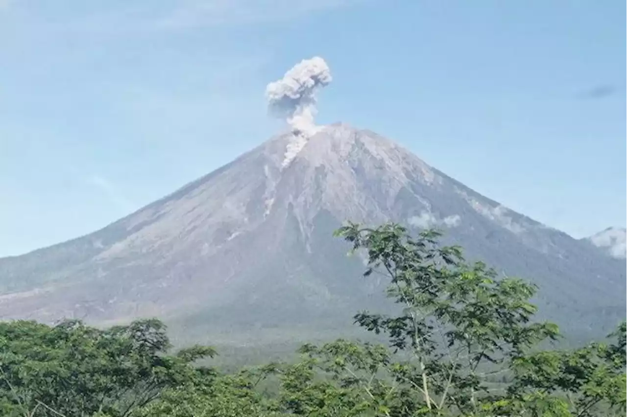 Usai Status Turun Level III, Semeru Erupsi dengan Tinggi Kolom Letusan 700 Meter