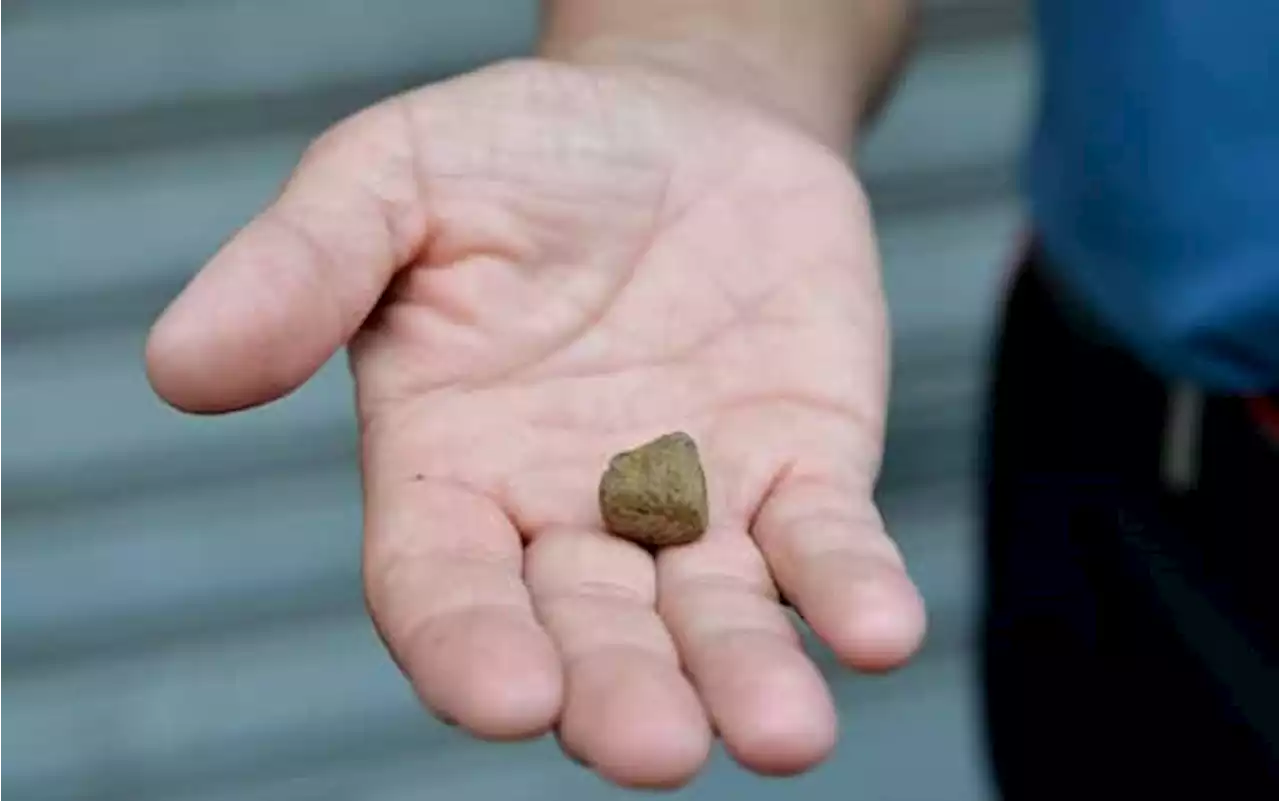 Sorpreso con 100 grammi di hashish, arrestato 38enne nel Palermitano