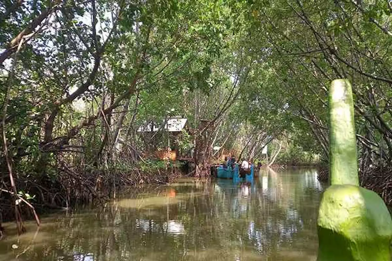 Menyusuri Pulau Tirang, Tempat Wisata di Semarang yang Hilang Terkikis Abrasi