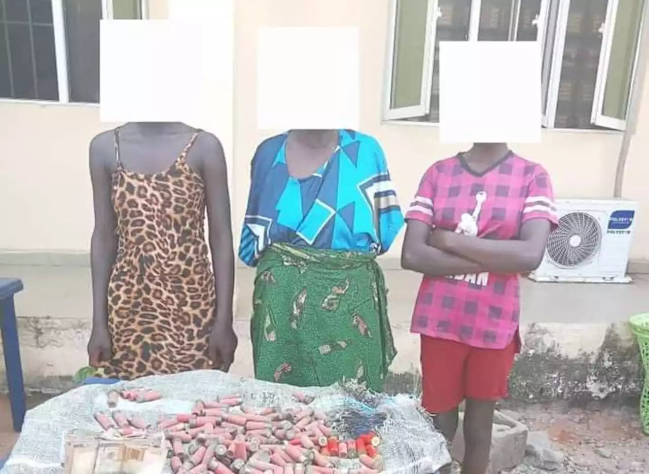 Police raid hideout of 'arms syndicate' in Delta, arrest three | TheCable