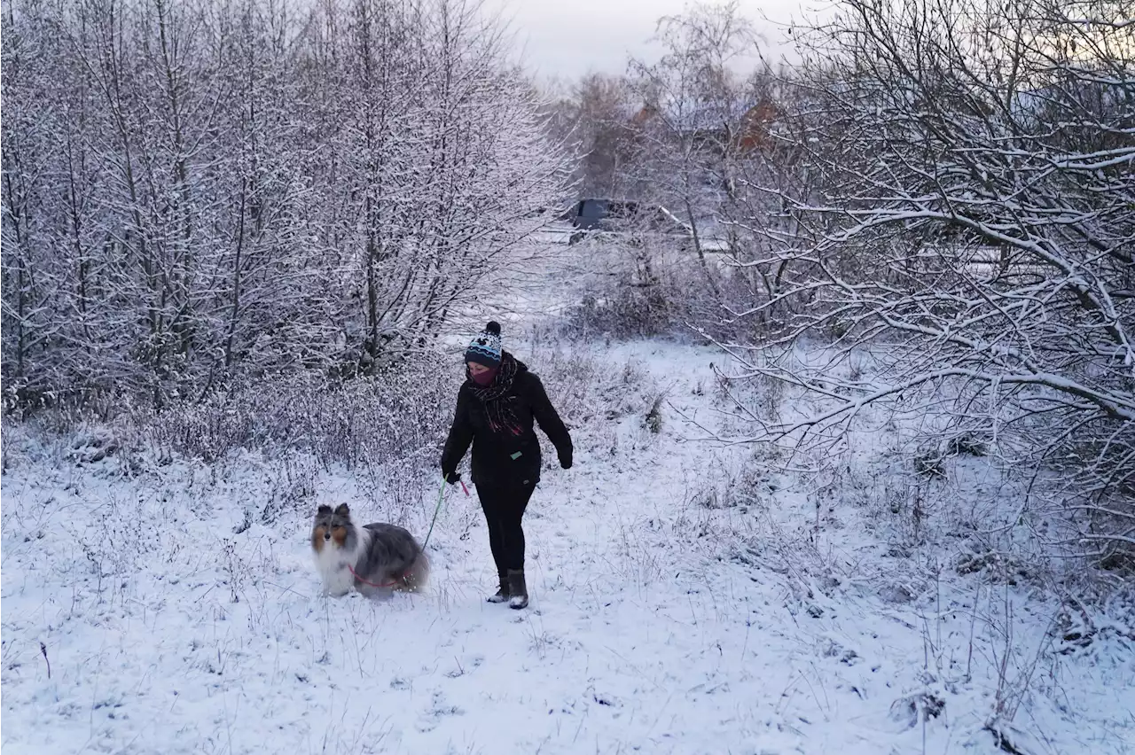 Temperatures could plummet to -10C overnight and 4in of snow may fall in days, Met Office warns