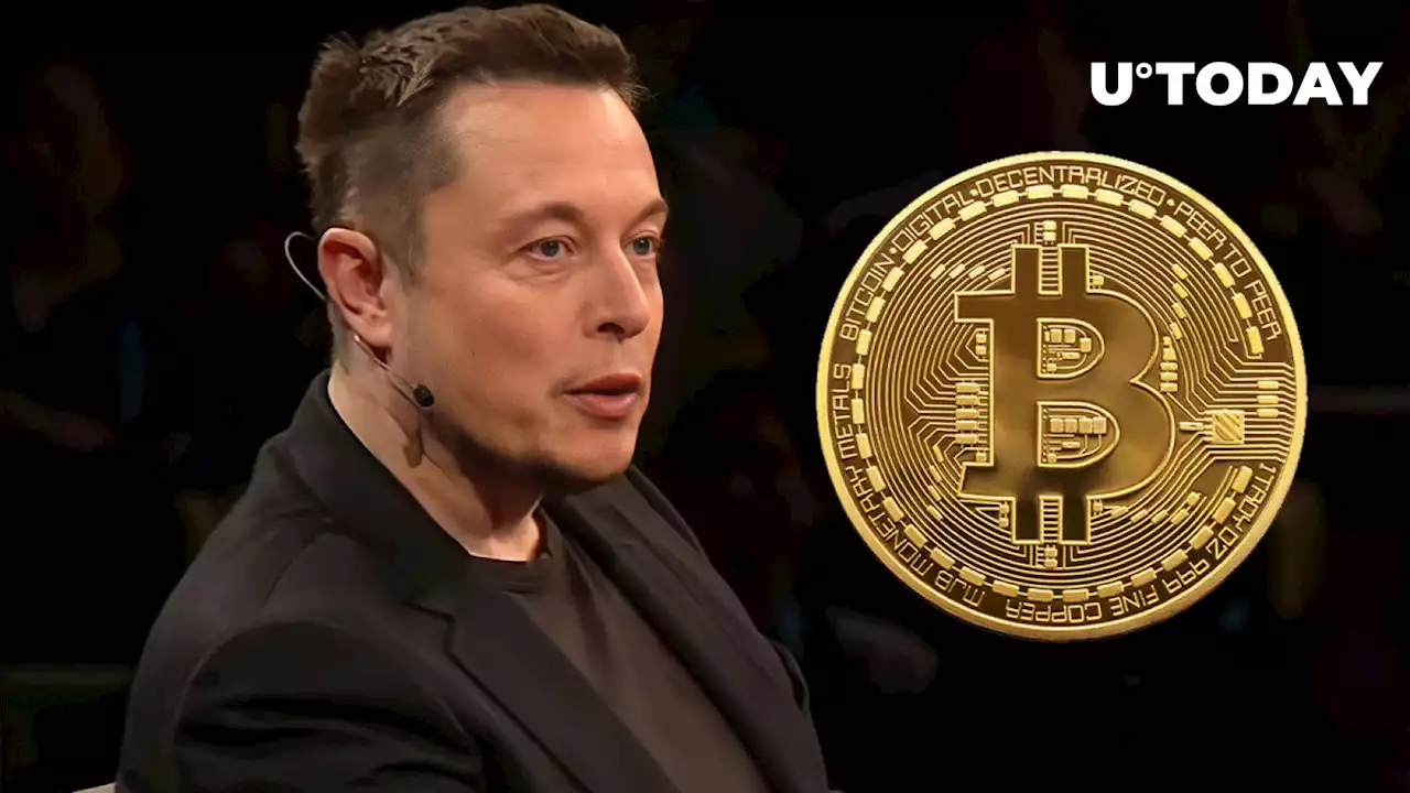 Bitcoin Sees Another Threat? - Elon Musk Just Might Be Hinting At This