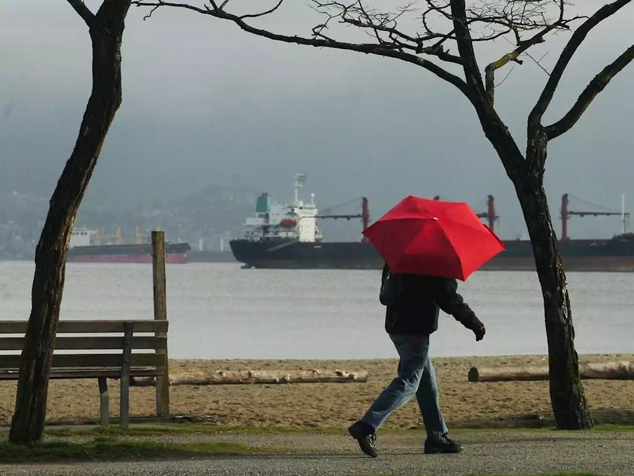 Vancouver Weather: Rain, then a chance of showers