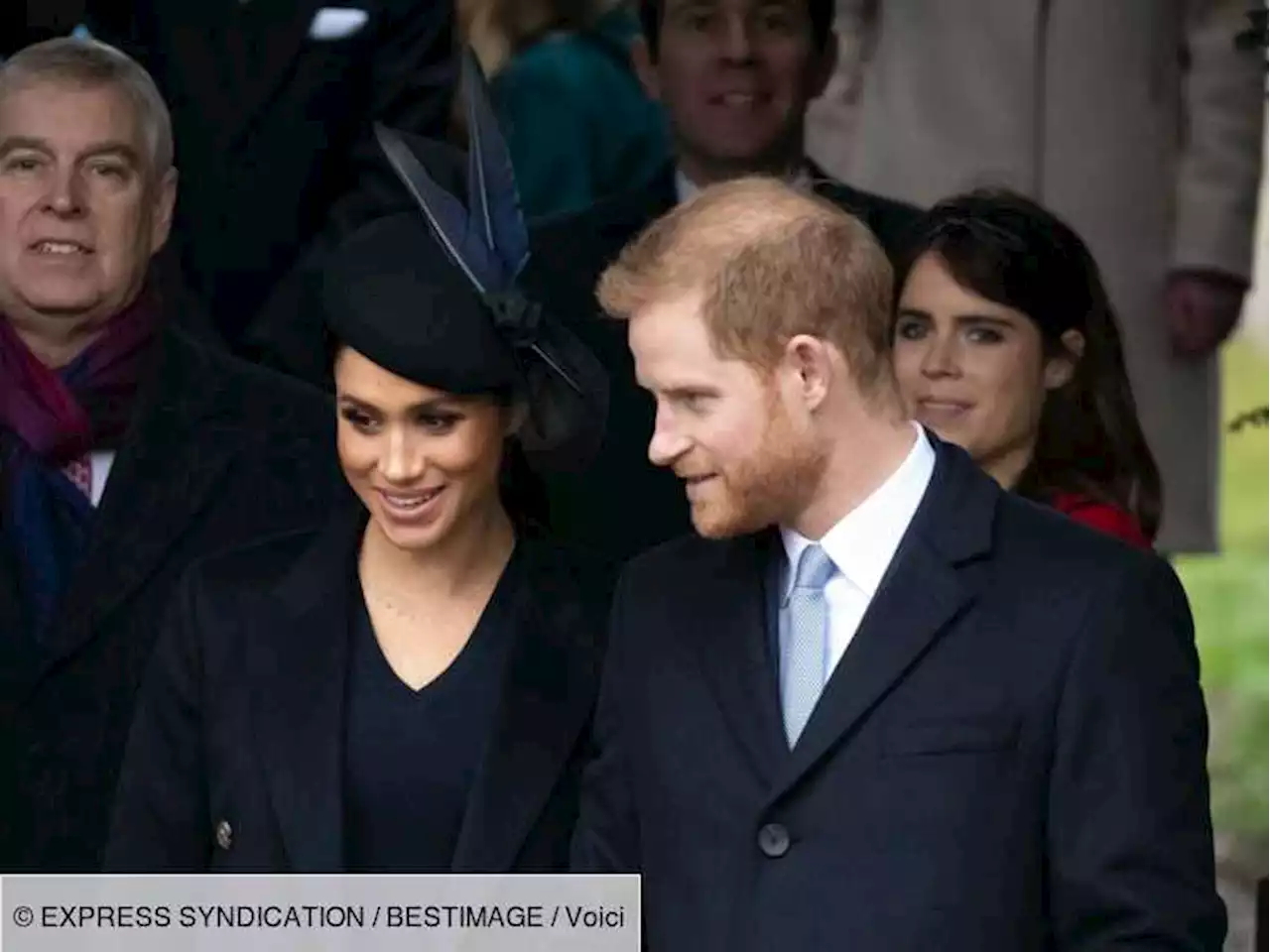 Meghan et Harry : pourquoi leur chien a joué un rôle dans leurs fiançailles - Voici