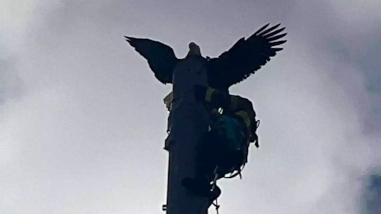 Fire department saves eagle impaled on lightning rod atop 120-foot radio tower