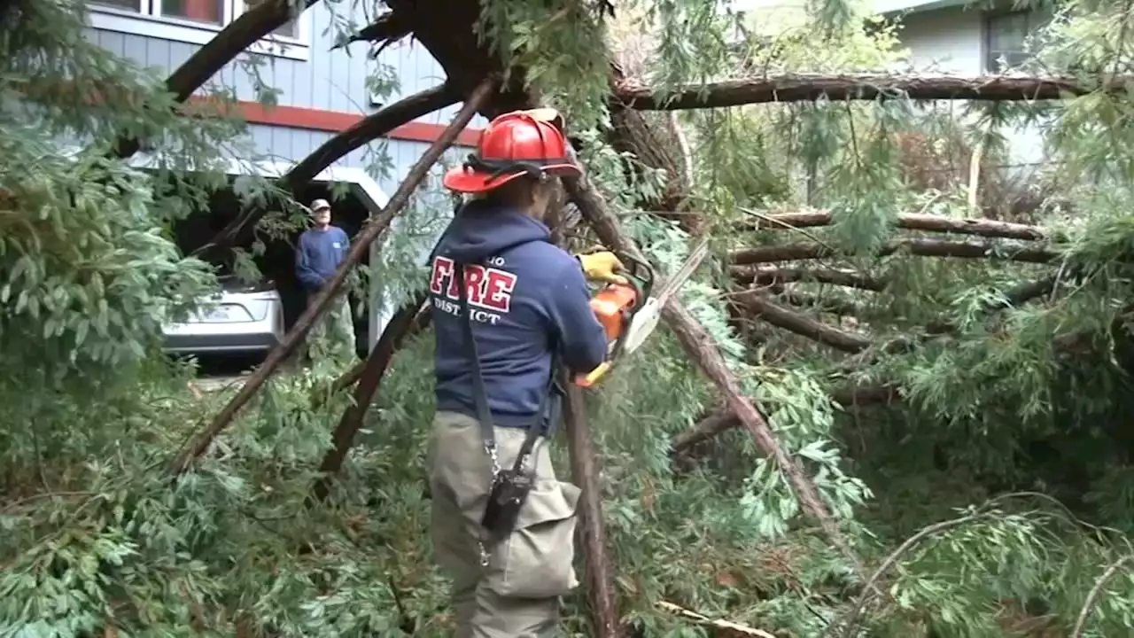 'First big storm': Weekend winter weather pounds Bay Area, brings flooding and topples trees