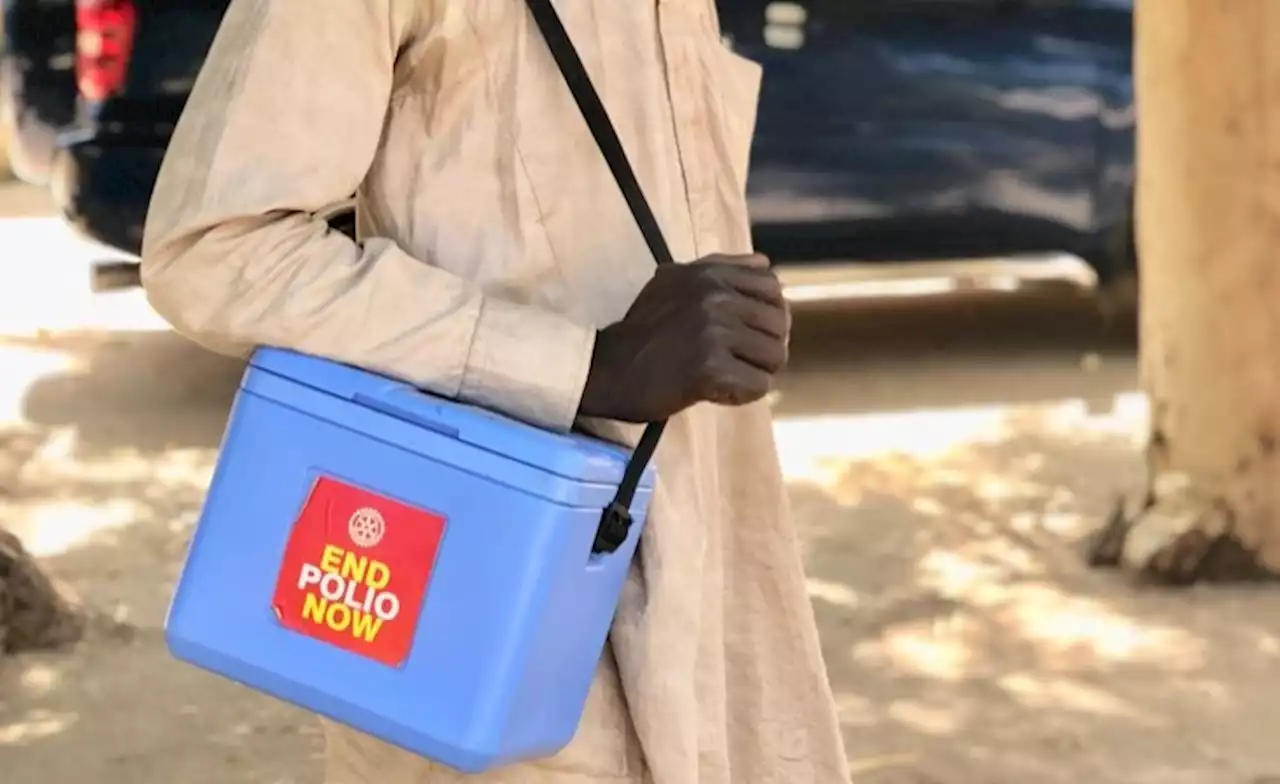 Africa: Increase Routine Immunisation to Halt Polio Resurgence