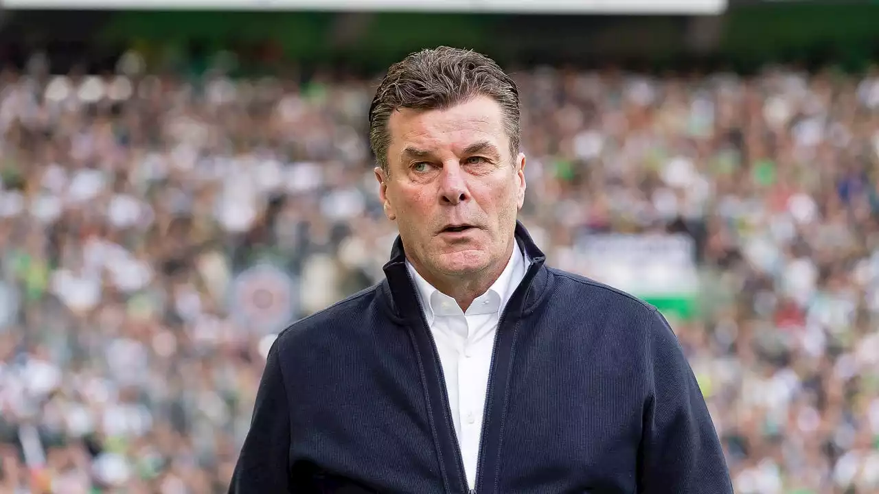 Borussia Mönchengladbach: Dieter Hecking kehrt auf die Bank zurück!