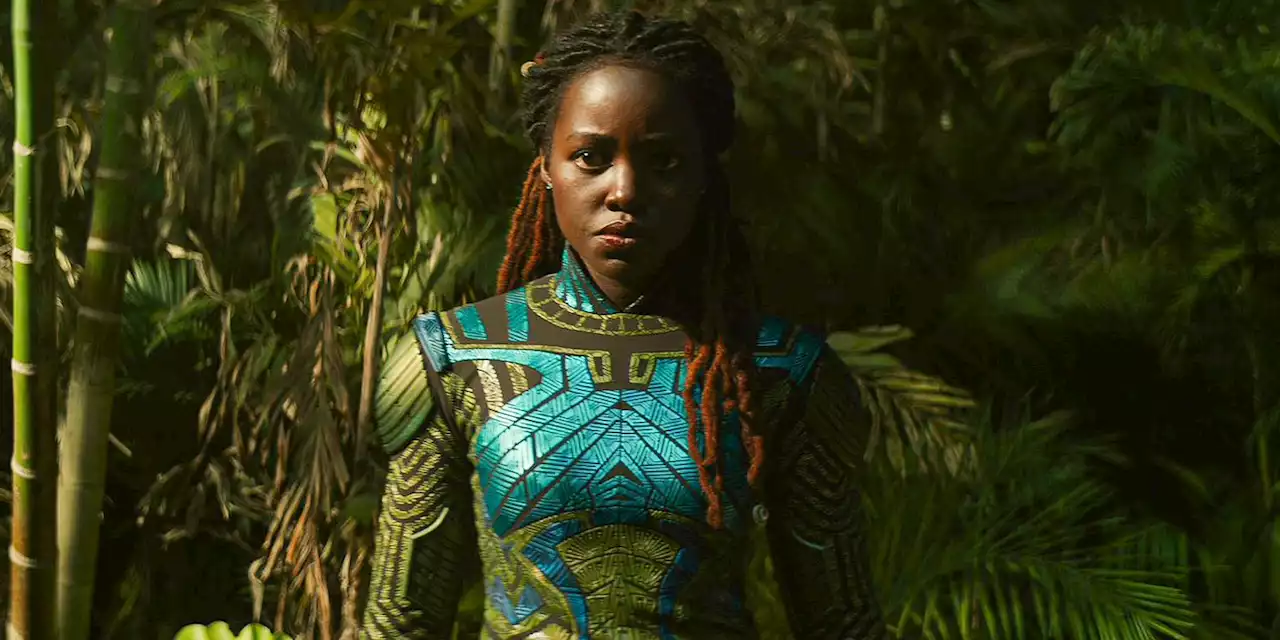 ‘Black Panther: Wakanda Forever’ Passes $409 Million at Domestic Box Office